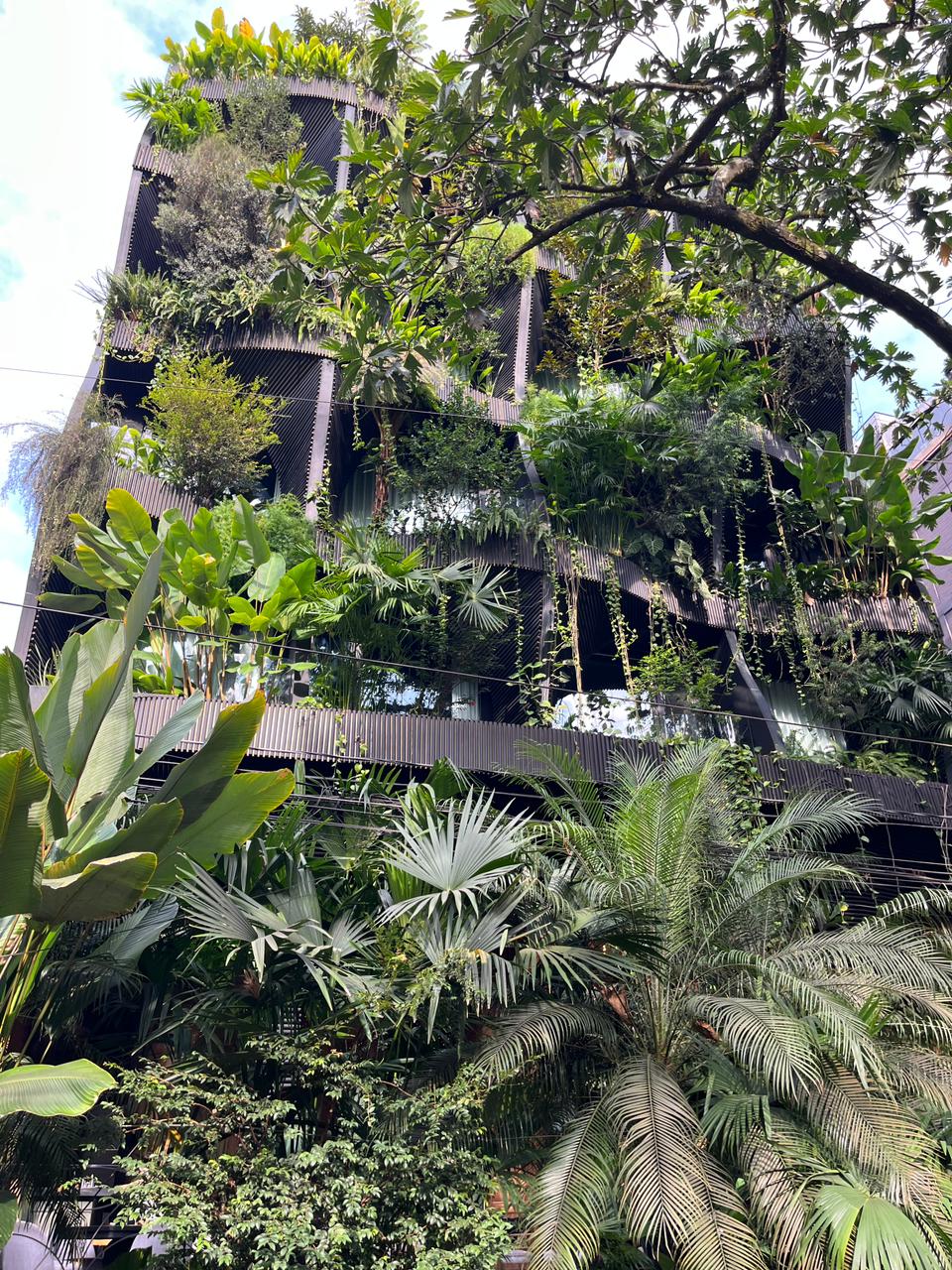 Calle 10 / Manila